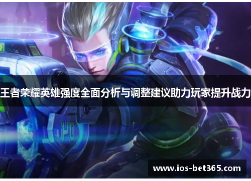 王者荣耀英雄强度全面分析与调整建议助力玩家提升战力